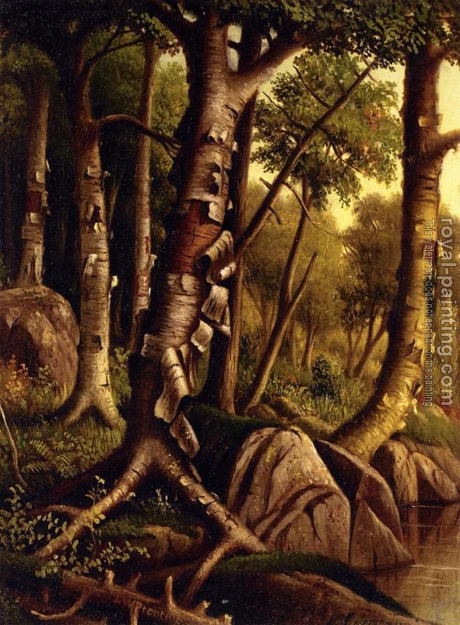 Levi Wells Prentice : Birch Trees